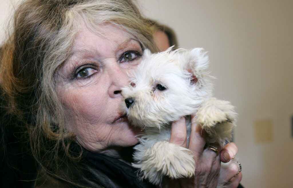 Brigitte Bardot, legendaria actriz francesa, murió a los 91 años de edad