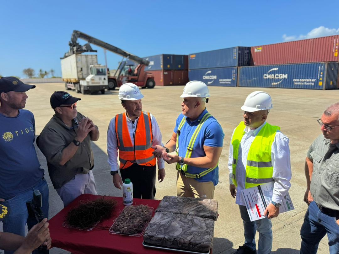 Nueva Esparta realizó la primera exportación de algas marinas de 2026