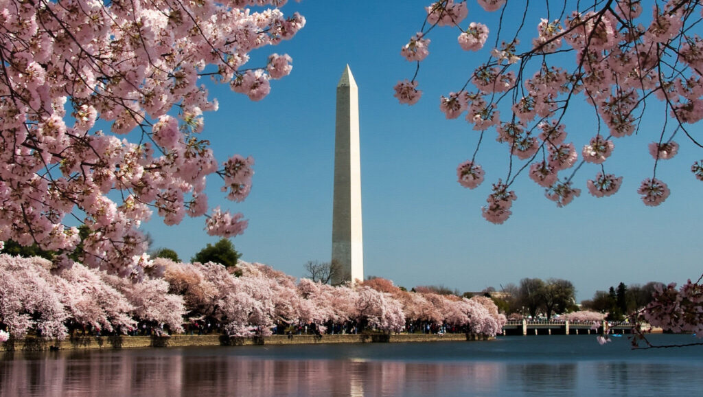 Los monumentos presidenciales que cuentan la historia de EE. UU.
