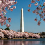 Los monumentos presidenciales que cuentan la historia de EE. UU.