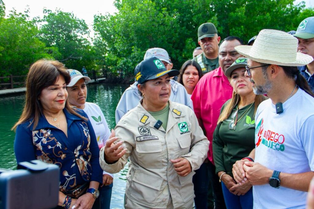 Ministro Freddy Ñañez recolectó semillas de manglar rojo en Parque Nacional Laguna de La Restinga