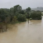 La borrasca Leonardo deja miles de evacuados, carreteras cortadas y un herido en Andalucía
