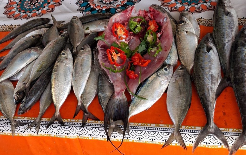 El pescado se ha posicionado como la tercera fuente de proteína más importante para los venezolanos