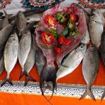 El pescado se ha posicionado como la tercera fuente de proteína más importante para los venezolanos