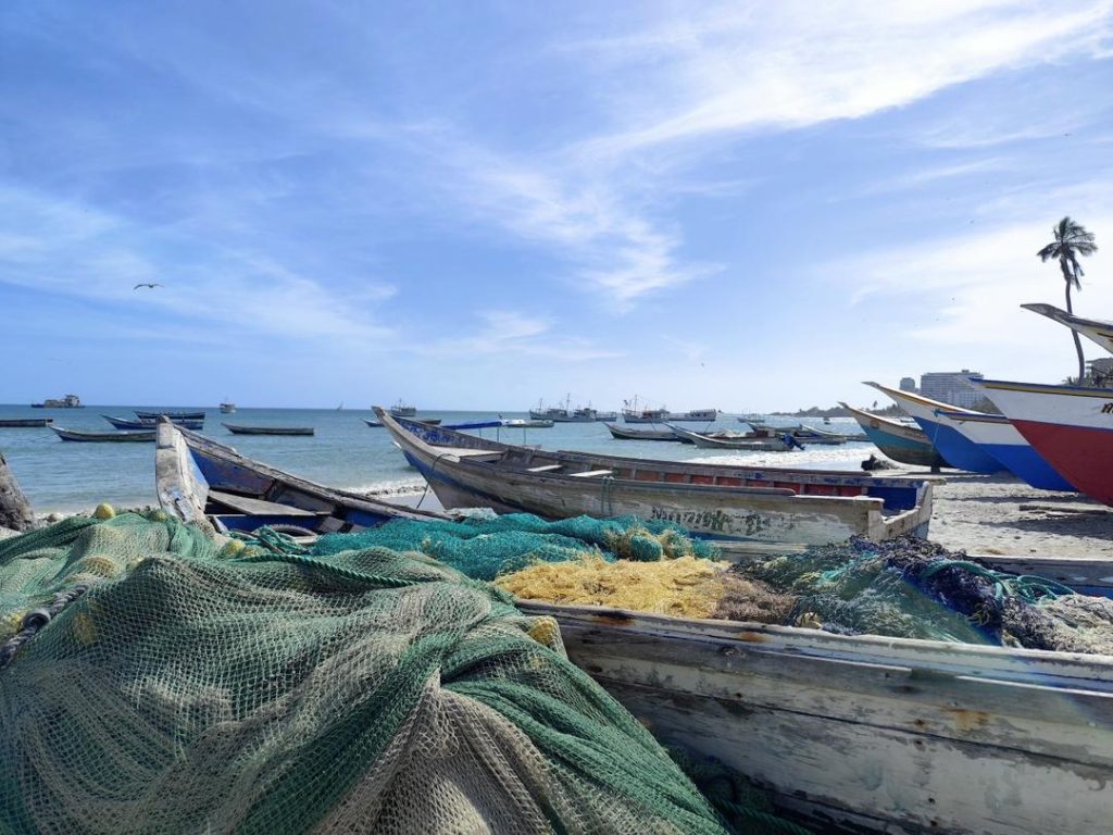 Comité de Seguimiento de la Sardina alista detalles para el inicio de la temporada