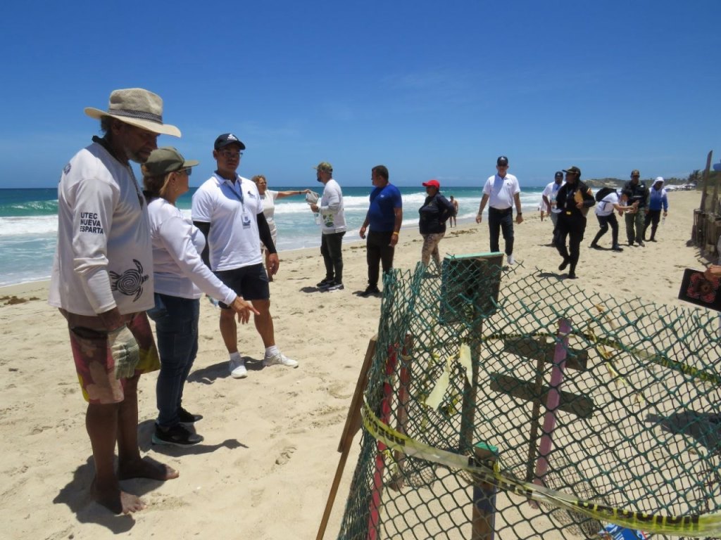 Inspeccionan viveros de tortugas marinas en playas de Nueva Esparta