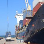 La isla de Margarita exporta a Chile y República Dominicana algas deshidratadas y pescado congelado