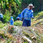 Servicios Públicos Mariño despeja quebrada en Achipano para prevenir riesgos y recuperar espacios