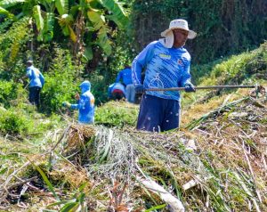 Servicios Públicos Mariño despeja quebrada en Achipano para prevenir riesgos y recuperar espacios