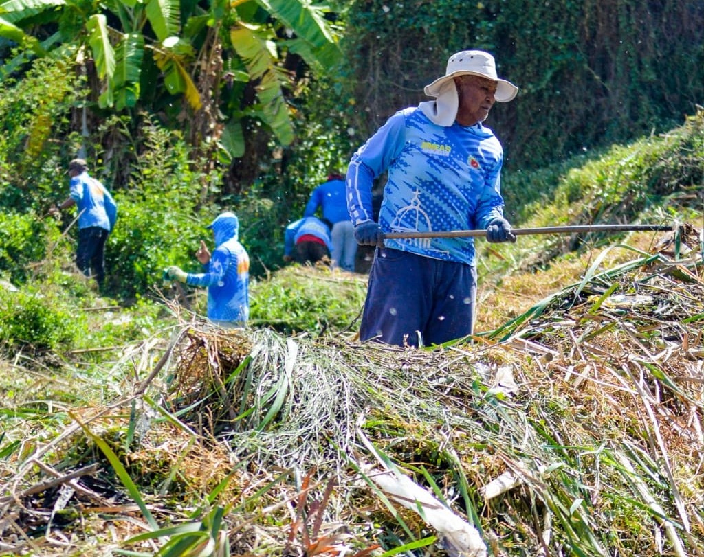 Servicios Públicos Mariño despeja quebrada en Achipano para prevenir riesgos y recuperar espacios