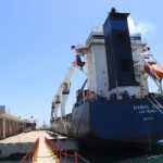 Descentralizar trámites de importación agilizaría comercio en Nueva Esparta, afirma gremio