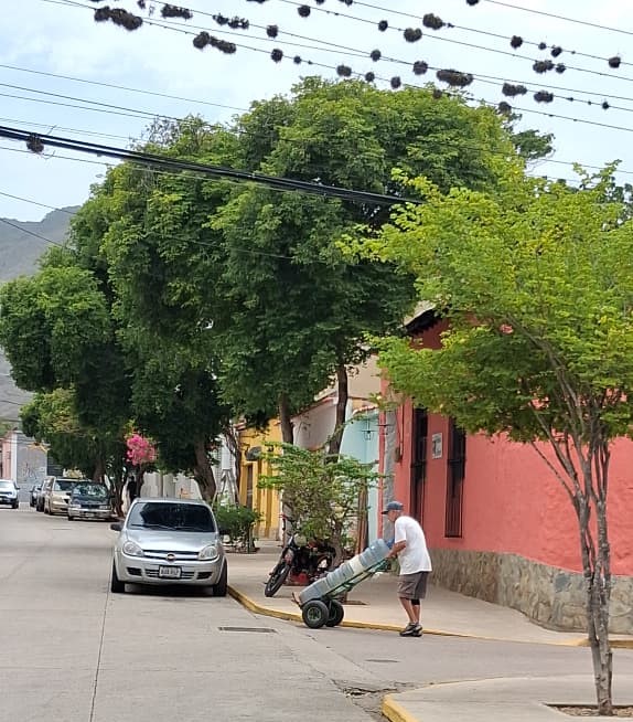 Capital de Nueva Esparta clama por ciclo de agua que suma 59 días