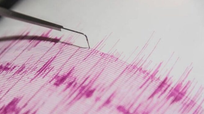 Funvisis registra más de 1.200 réplicas menores tras el doble terremoto del 24J