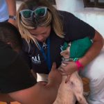Alcaldía de Arismendi y Misión Nevado garantizan exitosa jornada de vacunación animal