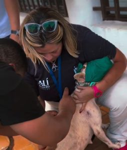 Alcaldía de Arismendi y Misión Nevado garantizan exitosa jornada de vacunación animal