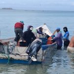 La marea plateada de Pampatar: El regreso de la sardina alivia y une a Nueva Esparta