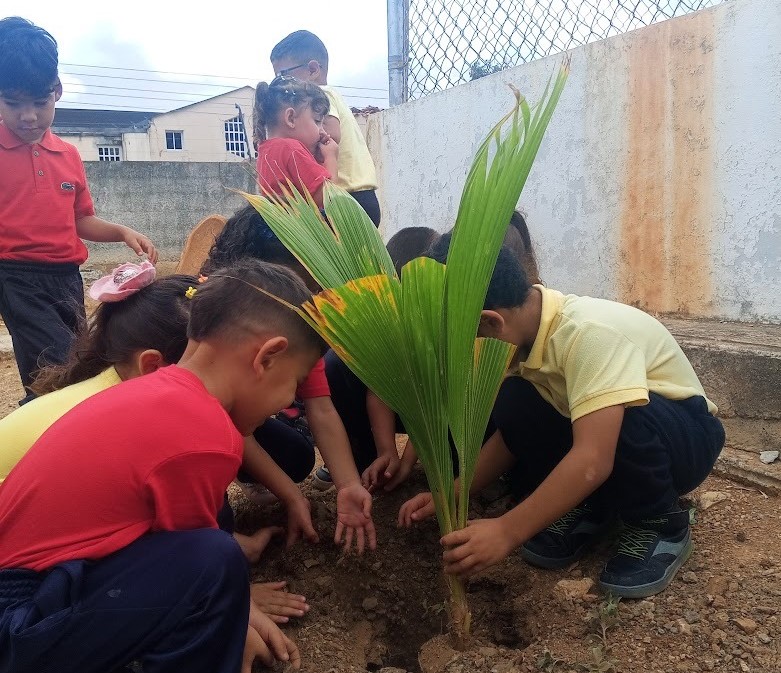 Fundárbol cumple un año plantando árboles para la restauración ambiental de Nueva Esparta