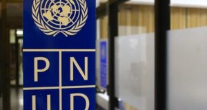 PNUD convoca a empresas para edificar viviendas temporales tras los terremotos